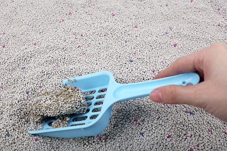 Tips for selecting cat litter